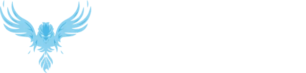 phenom dm